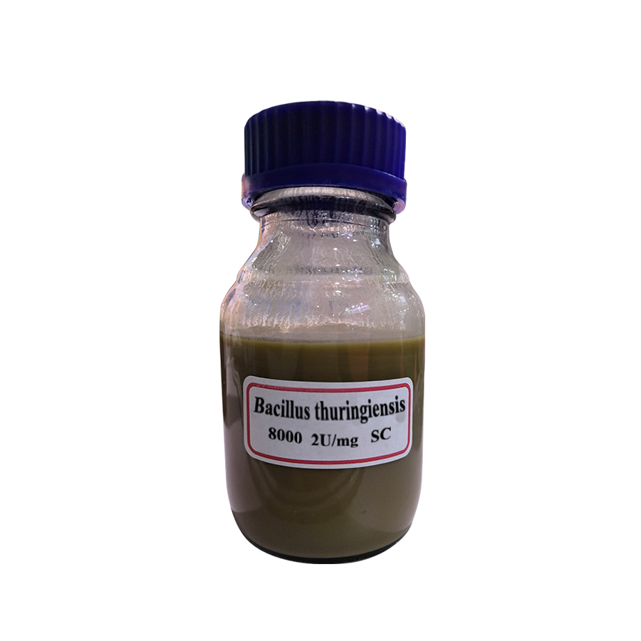 bacillus thuringiensis used for