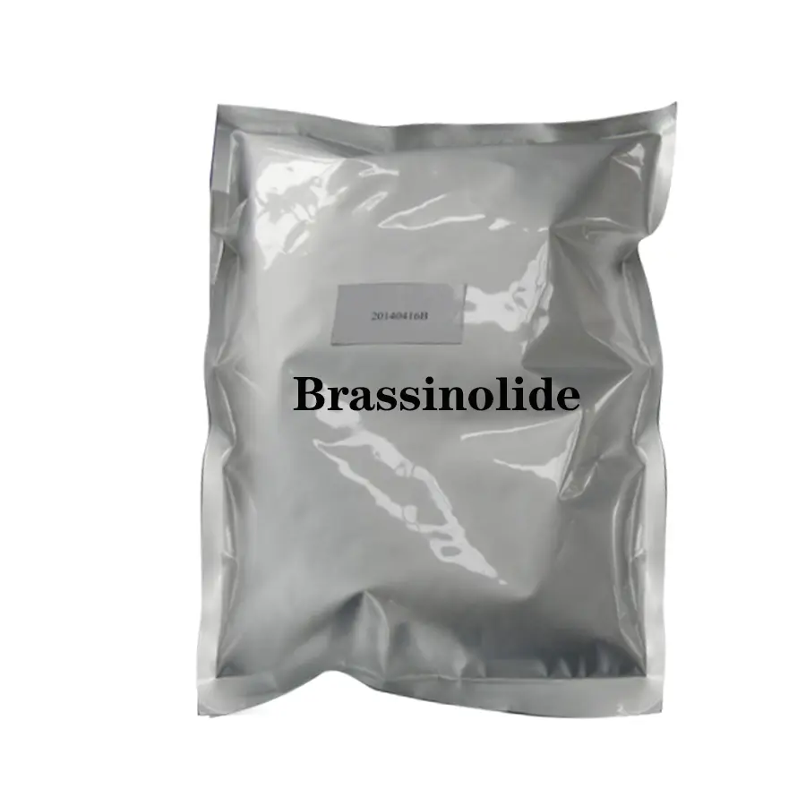 brassinolide powder